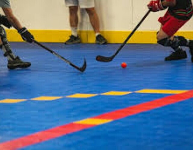 Dek hockey adulte